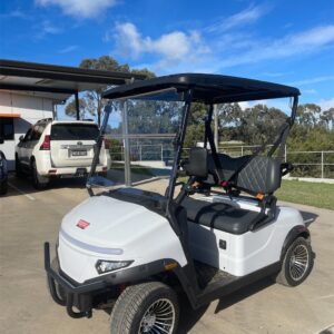 Deluxe 2-Seater Electric Golf Cart / Buggy
